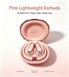 True Wireless  Bluetooth Earphones - D01